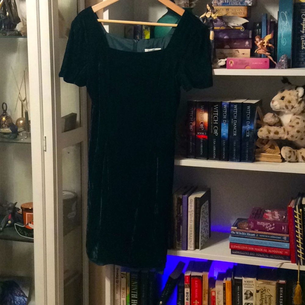 Velvet Ann Taylor dress